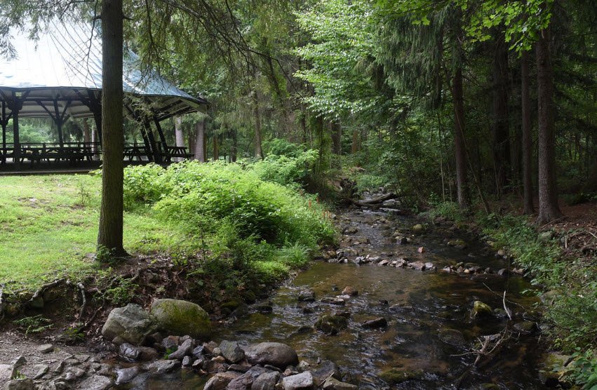 Mont Alto State Park, Pennsylvania, USA